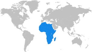 Flag of Other Countries in Africa